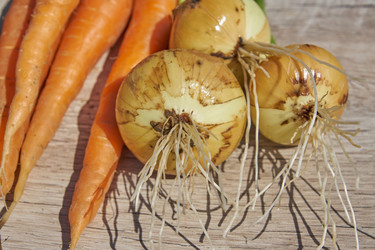 Similar image 21235231