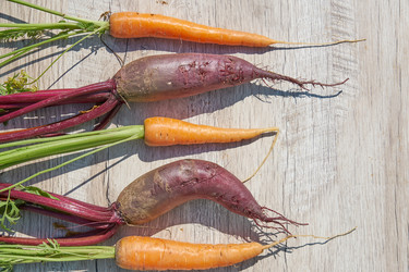 Similar image 21235233