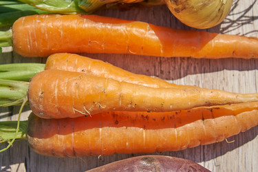 Similar image 21235235