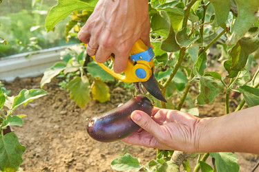 Similar image 21235496