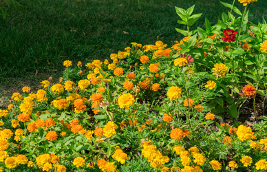 Similar image 21235499