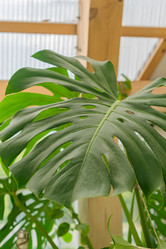 Similar image 21235503