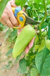 Similar image 21235617