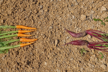 Similar image 21243259