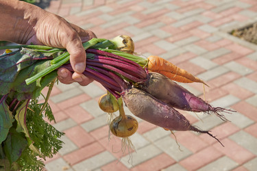 Similar image 21253718