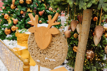 Similar image 21253953