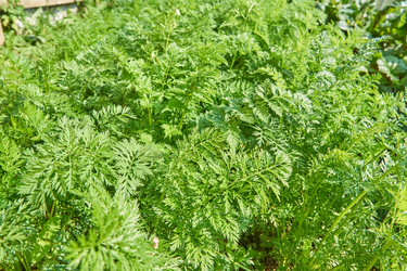 Similar image 21253963