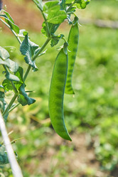 Similar image 21253964