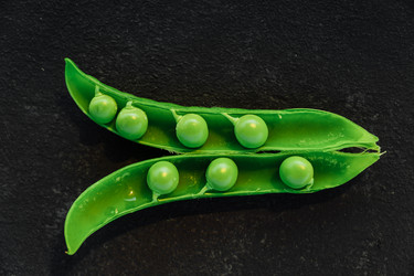 Similar image 21253965