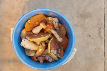 Similar image 21253967