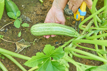 Similar image 21253969