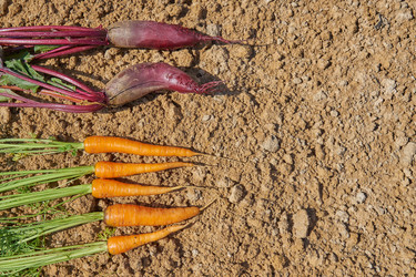 Similar image 21253976