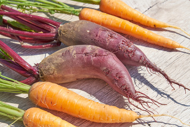 Similar image 21253979