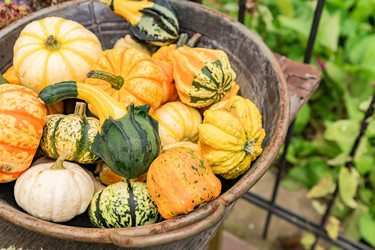 Similar image 21255140