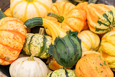 Similar image 21255534