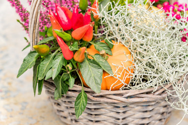 Similar image 21257136