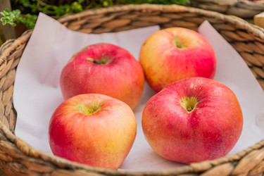 Similar image 21257237