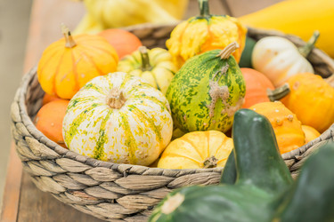 Similar image 21257539