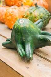 Similar image 21257540