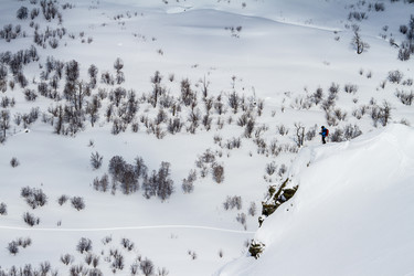 Similar image 21204502