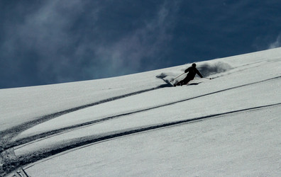 Similar image 21204520