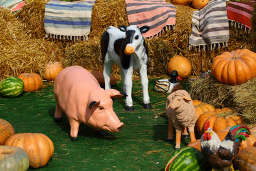 Similar image 21244589