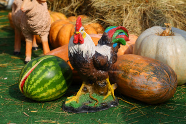 Similar image 21244590