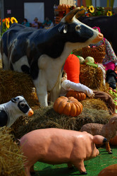 Similar image 21244591