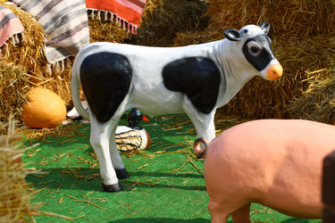 Similar image 21244597