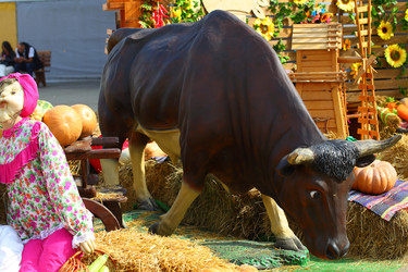 Similar image 21244602