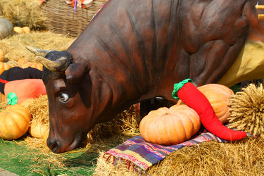 Similar image 21244616