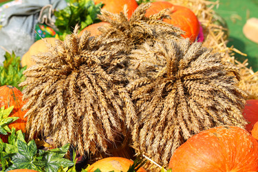 Similar image 21244625