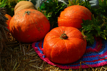 Similar image 21244626