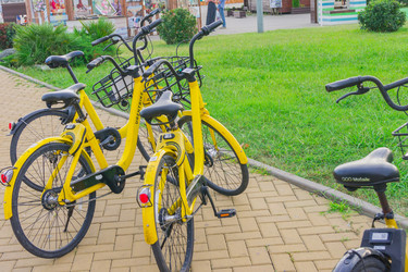 Similar image 21235237