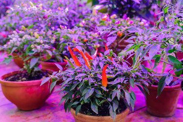 Similar image 21235246