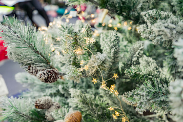 Similar image 21235248