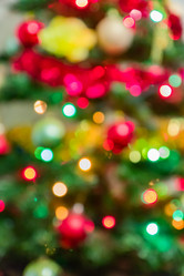 Similar image 21235253