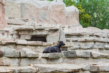 Similar image 21235622