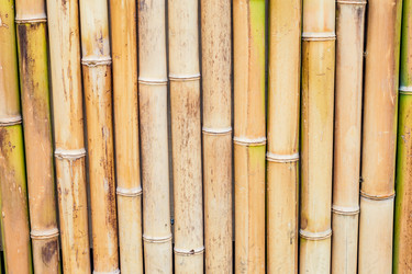 Similar image 21243268