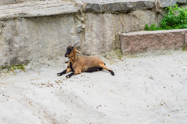 Similar image 21243273