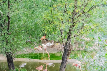 Similar image 21253992