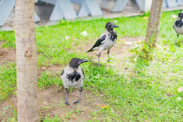 Similar image 21253997