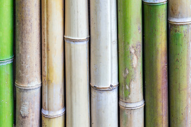 Similar image 21253998