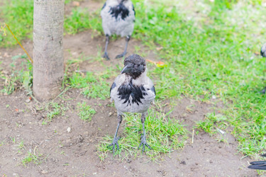 Similar image 21254007