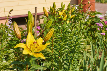 Similar image 21254008