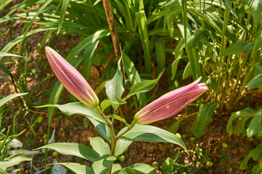 Similar image 21254011