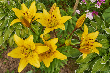 Similar image 21254015