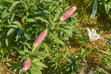 Similar image 21254017