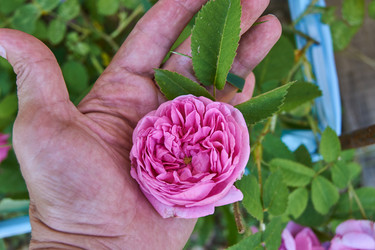 Similar image 21254021