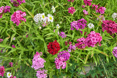 Similar image 21254022